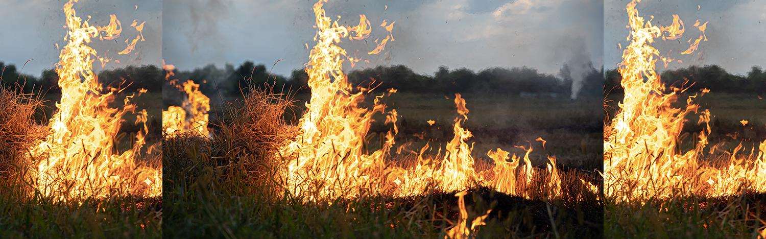 PG&amp;E Agrees To Pay $125M In California Fire