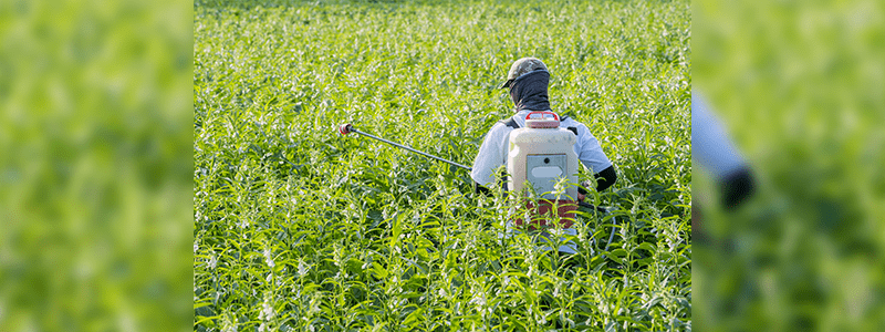 Bayer AG Reaches Deal On Major Portion Of Roundup Lawsuits