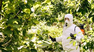 Monsanto Appeals To Toss $78.5M Roundup Verdict