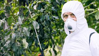 Study Links Glyphosate To Endocrine Disrupting Chemicals